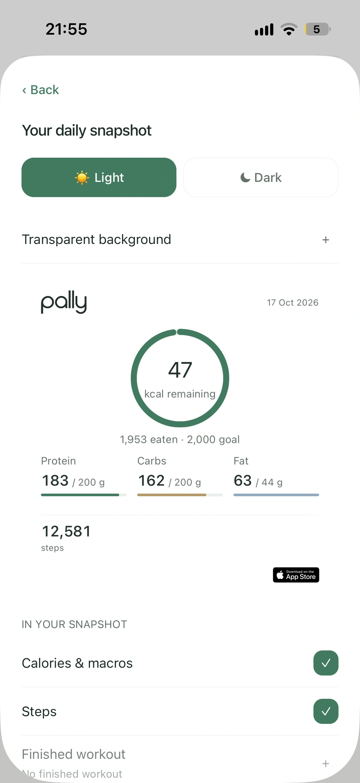 Pally daily snapshot preview and sharing options.